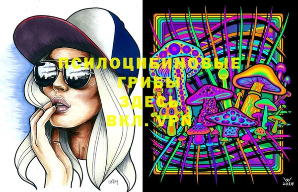 apvp Абинск