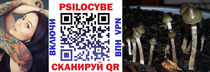 как найти Альметьевск KRAKEN зеркало Галлюциногенные грибы Cubensis